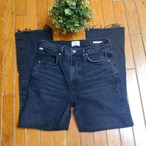 Citizens of Humanity Size 27  Isola Cropped Distressed Jeans